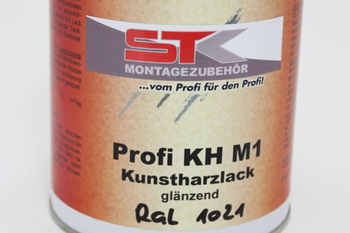 Profi Kunstharzlack glänzend